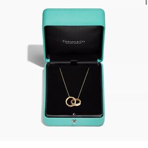 Tiffany and Co Interlocking Circles Pendant